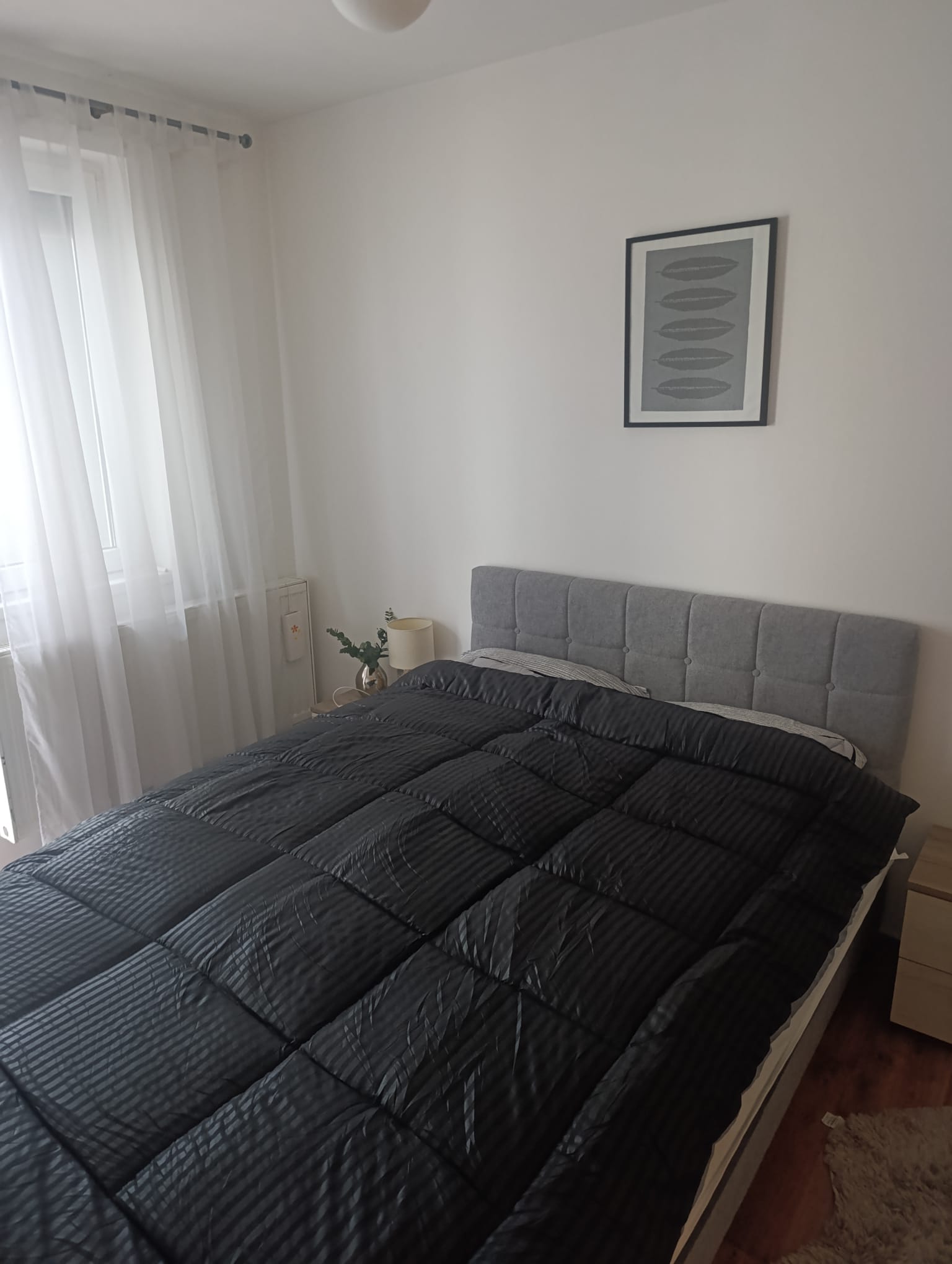 Black + Antra Gray